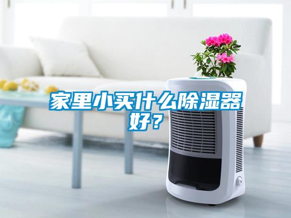 家里小買(mǎi)什么除濕器好？