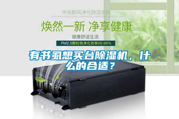 有書(shū)虱想買(mǎi)臺(tái)除濕機(jī)，什么的合適？