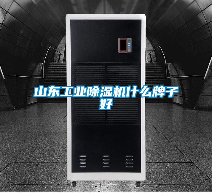 山東工業除濕機什么牌子好