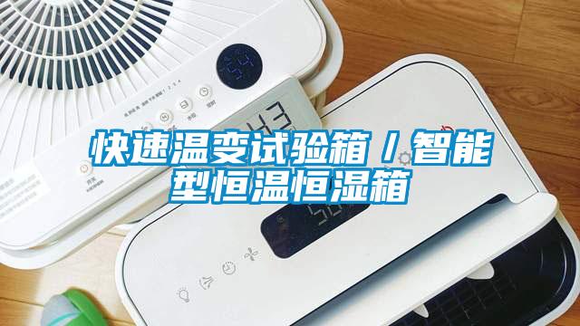 快速溫變?cè)囼?yàn)箱／智能型恒溫恒濕箱