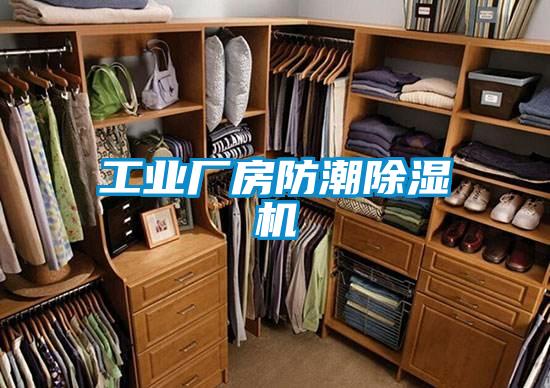 工業(yè)廠房防潮除濕機