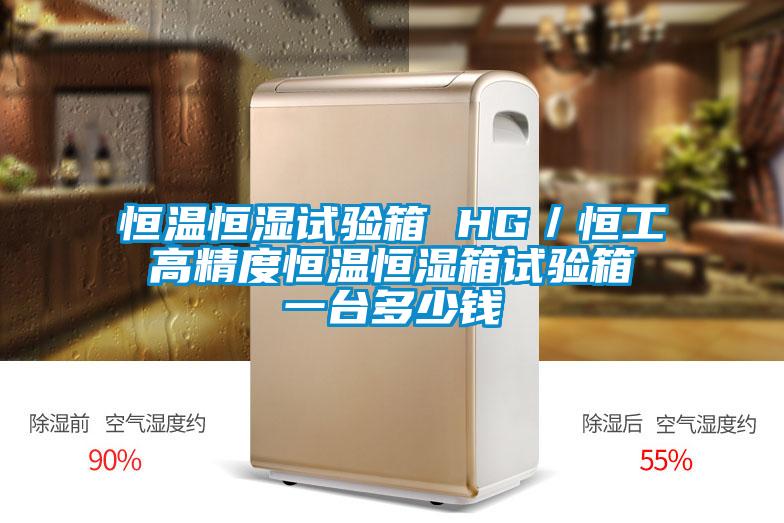 恒溫恒濕試驗箱 HG/恒工 高精度恒溫恒濕箱試驗箱 一臺多少錢
