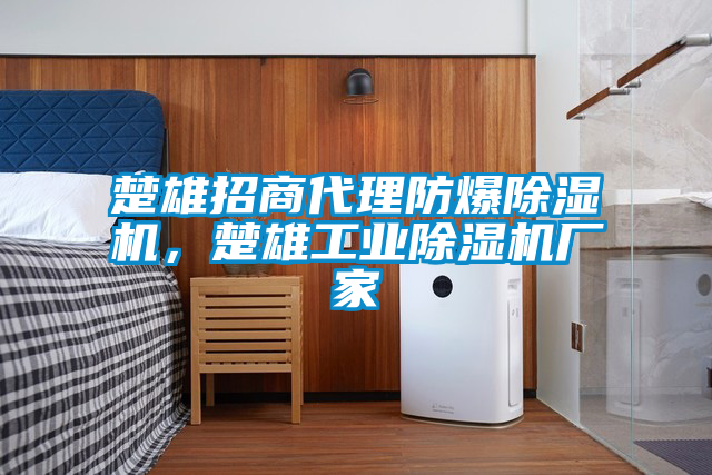 楚雄招商代理防爆除濕機(jī)，楚雄工業(yè)除濕機(jī)廠家