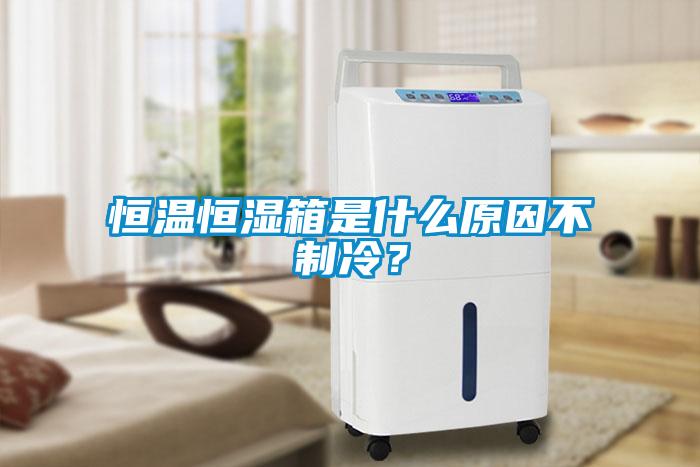 恒溫恒濕箱是什么原因不制冷？