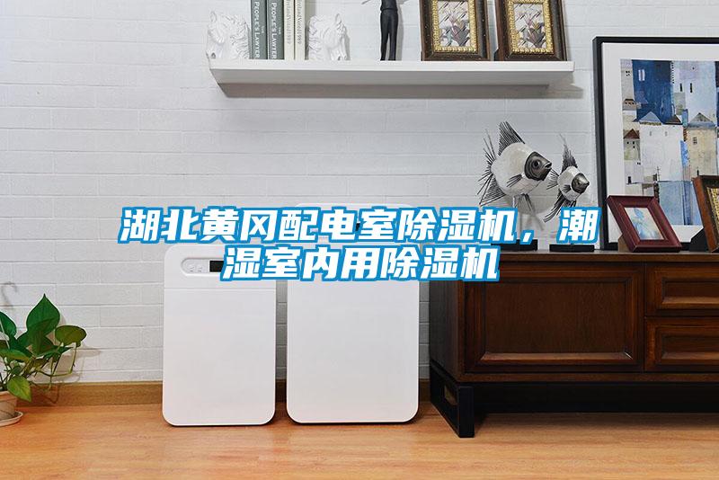 湖北黃岡配電室除濕機，潮濕室內用除濕機