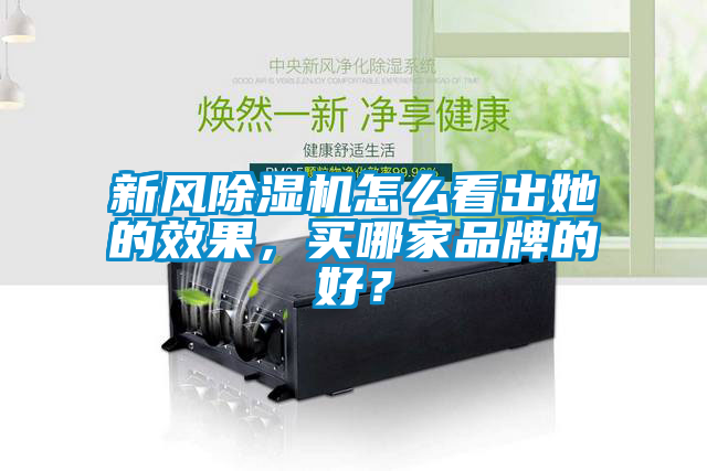 新風除濕機怎么看出她的效果，買哪家品牌的好？