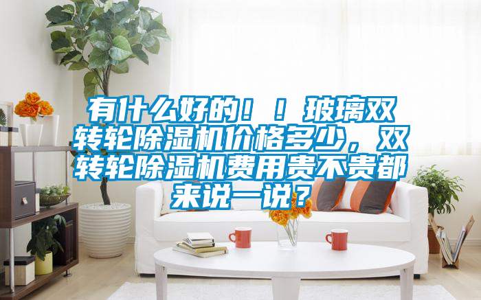 有什么好的??！玻璃雙轉輪除濕機價格多少，雙轉輪除濕機費用貴不貴都來說一說？