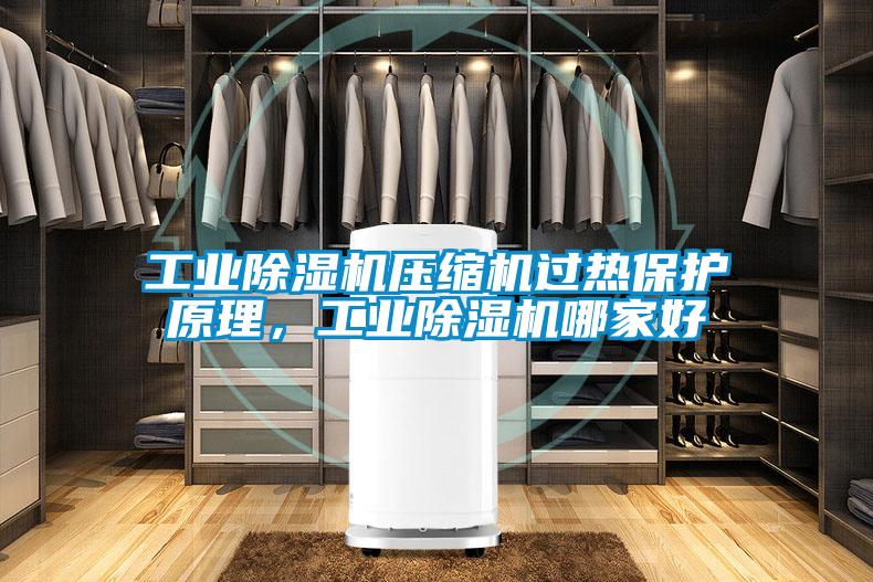工業除濕機壓縮機過熱保護原理，工業除濕機哪家好