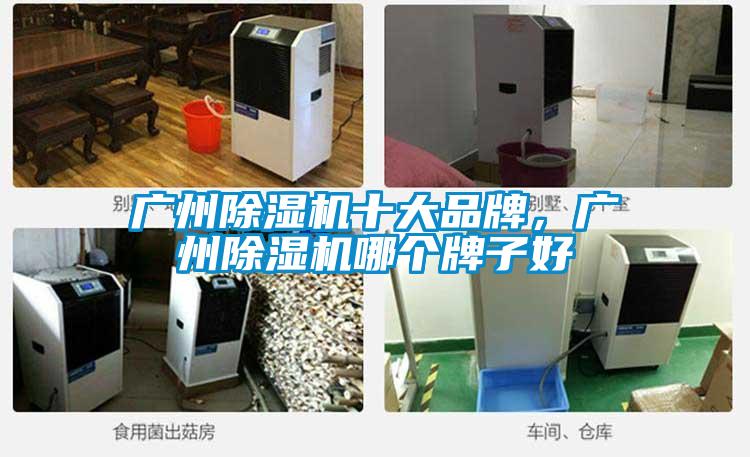 廣州除濕機十大品牌,廣州除濕機哪個牌子好