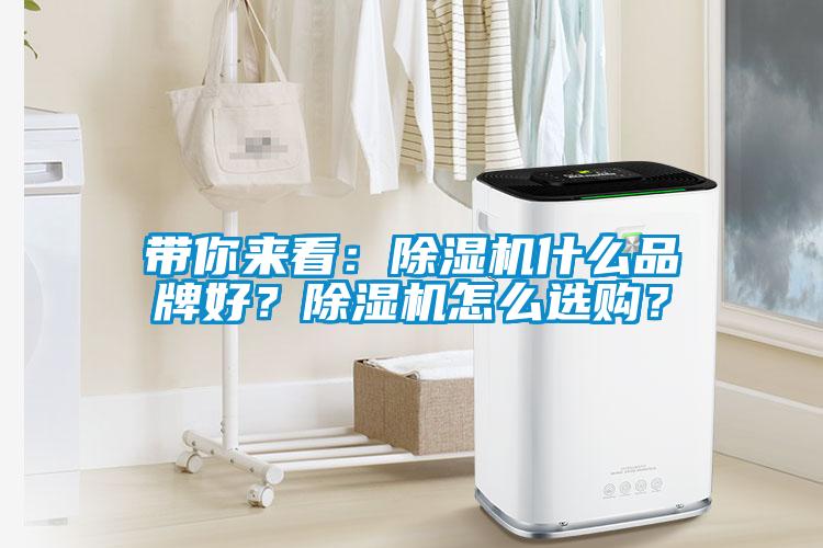 帶你來看：除濕機什么品牌好？除濕機怎么選購？