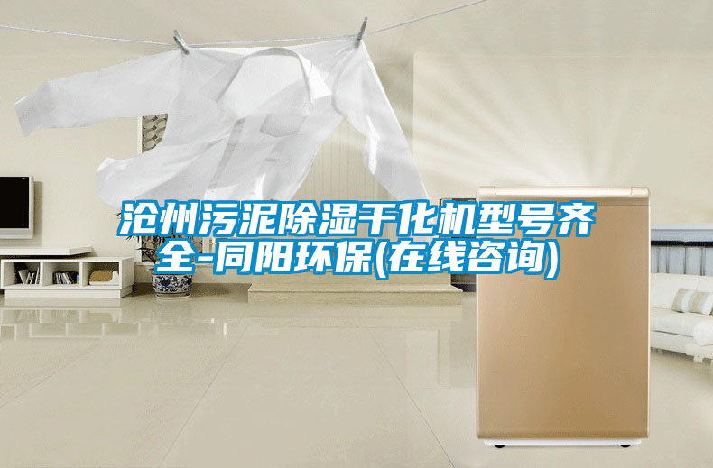 滄州污泥除濕干化機(jī)型號(hào)齊全-同陽(yáng)環(huán)保(在線咨詢)