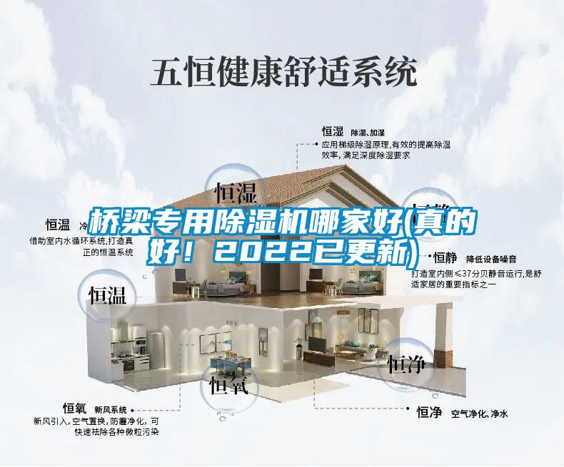 橋梁專用除濕機(jī)哪家好(真的好！2022已更新)