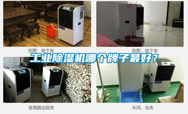 工業(yè)除濕機(jī)哪個牌子最好？