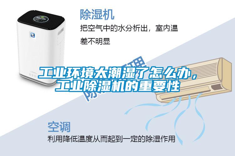 工業(yè)環(huán)境太潮濕了怎么辦，工業(yè)除濕機的重要性