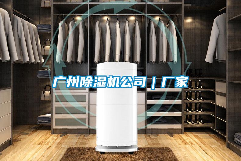 廣州除濕機公司|廠家