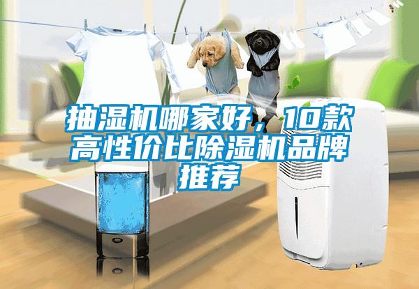 抽濕機(jī)哪家好，10款高性?xún)r(jià)比除濕機(jī)品牌推薦