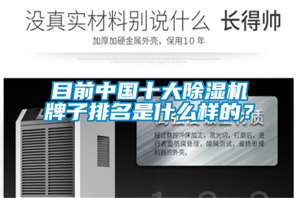 目前中國十大除濕機牌子排名是什么樣的？