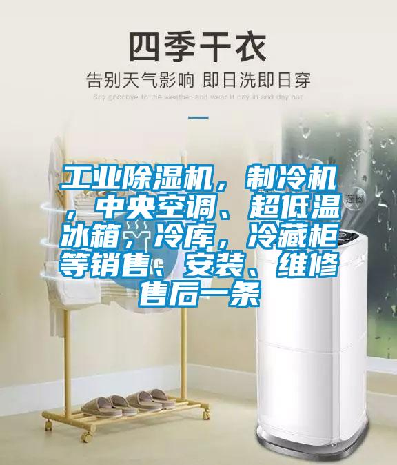 工業(yè)除濕機(jī)，制冷機(jī)，中央空調(diào)、超低溫冰箱，冷庫(kù)，冷藏柜等銷售、安裝、維修售后一條