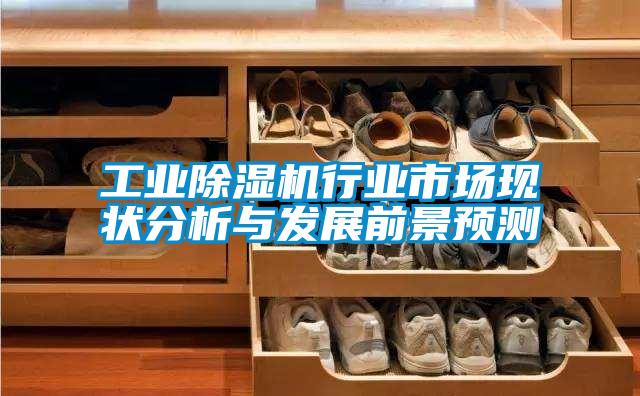 工業(yè)除濕機行業(yè)市場現(xiàn)狀分析與發(fā)展前景預(yù)測