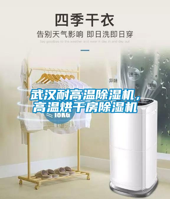 武漢耐高溫除濕機，高溫烘干房除濕機