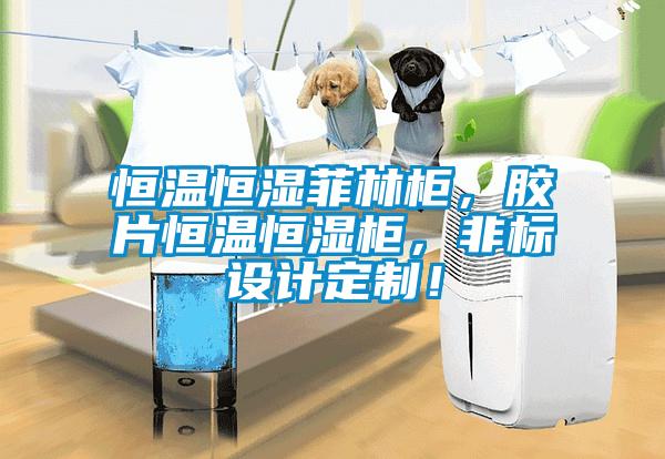 恒溫恒濕菲林柜,膠片恒溫恒濕柜,非標設計定制!
