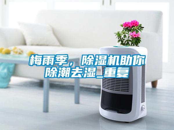 梅雨季，除濕機助你除潮去濕_重復