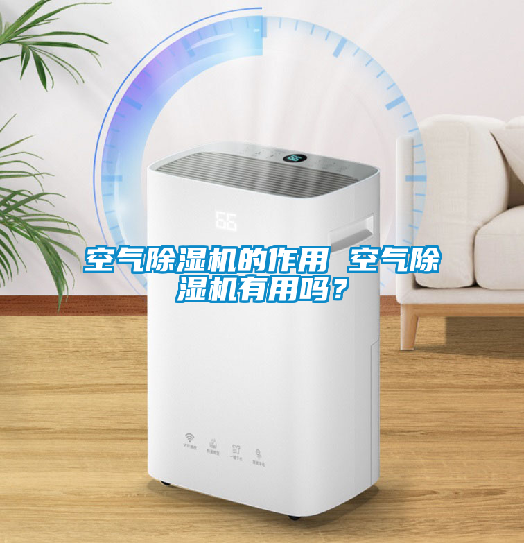 空氣除濕機(jī)的作用 空氣除濕機(jī)有用嗎？