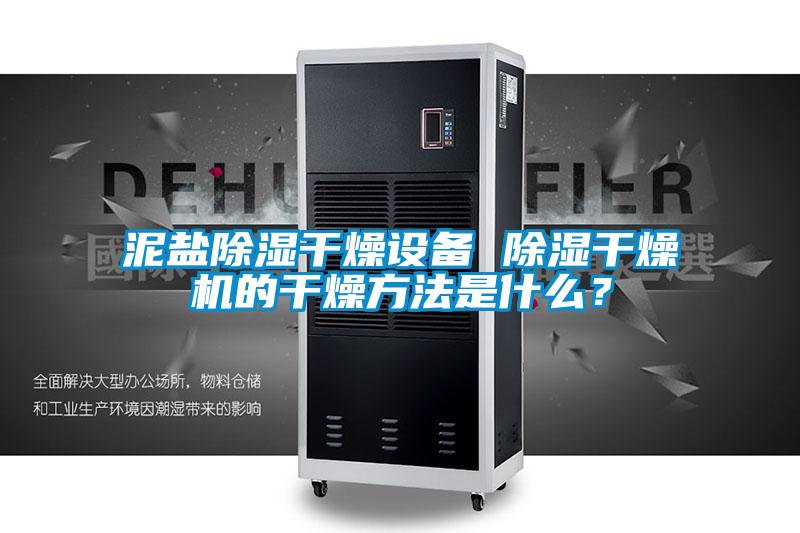 泥鹽除濕干燥設備 除濕干燥機的干燥方法是什么？