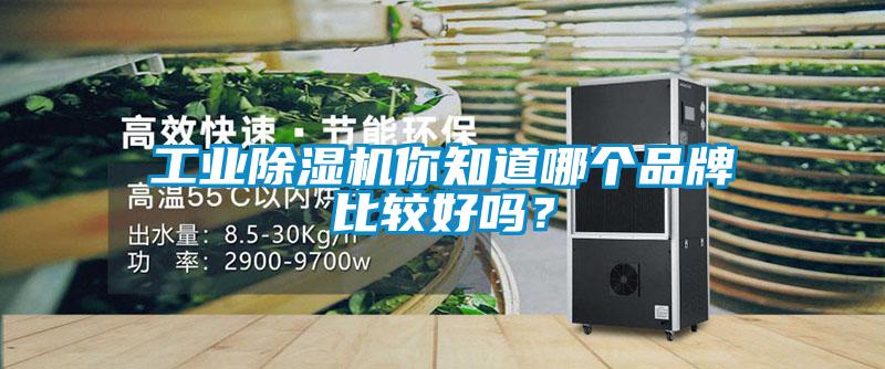 工業(yè)除濕機你知道哪個品牌比較好嗎？