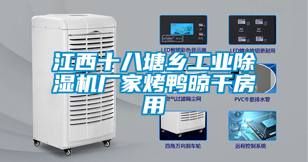 江西十八塘鄉工業除濕機廠家烤鴨晾干房用
