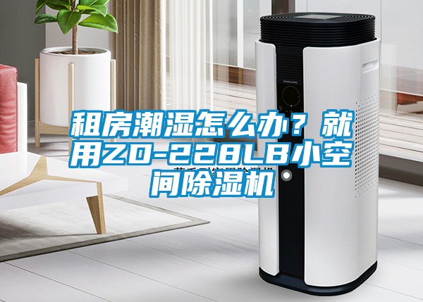 租房潮濕怎么辦?就用ZD-228LB小空間除濕機(jī)