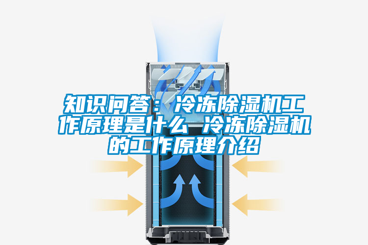 知識問答：冷凍除濕機(jī)工作原理是什么 冷凍除濕機(jī)的工作原理介紹
