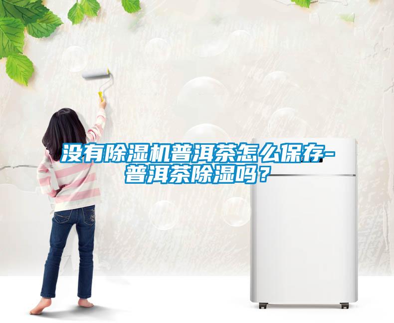 沒有除濕機(jī)普洱茶怎么保存-普洱茶除濕嗎？