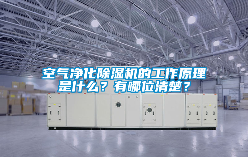 空氣凈化除濕機的工作原理是什么?有哪位清楚?