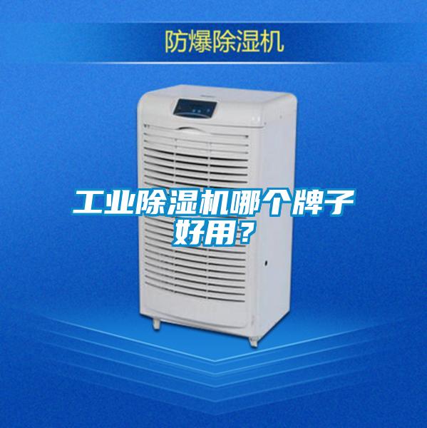 工業除濕機哪個牌子好用？