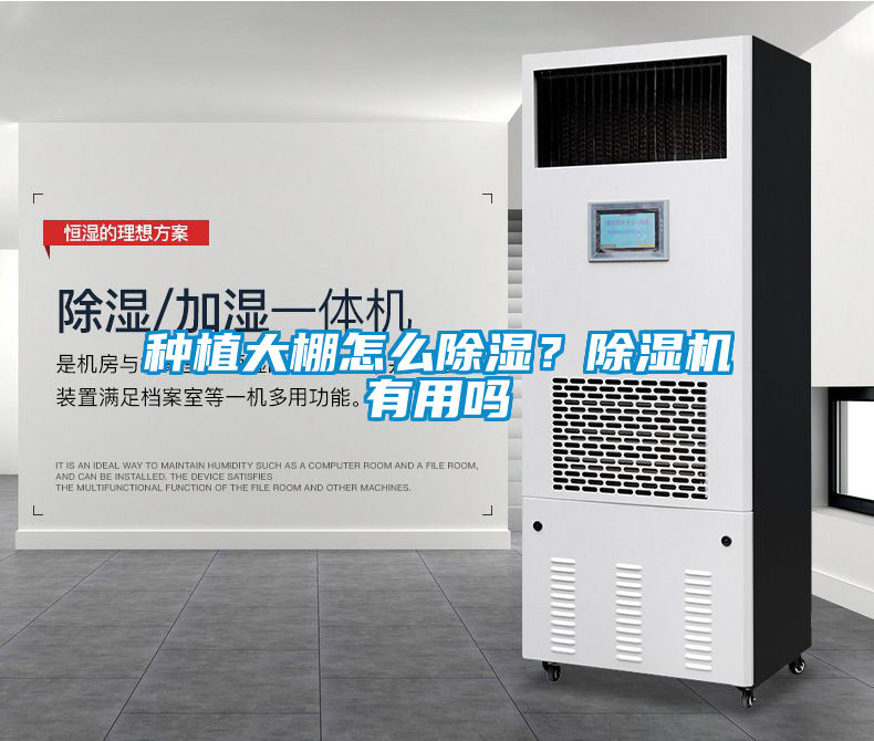 種植大棚怎么除濕？除濕機有用嗎