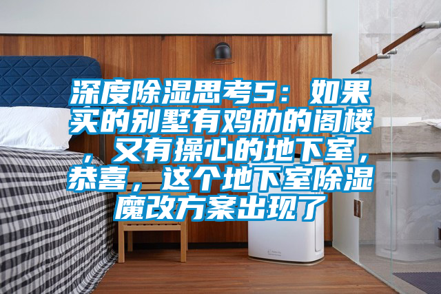 深度除濕思考5：如果買的別墅有雞肋的閣樓，又有操心的地下室，恭喜，這個地下室除濕魔改方案出現了