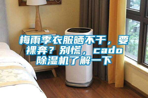 梅雨季衣服曬不干，要裸奔？別慌，cado除濕機(jī)了解一下