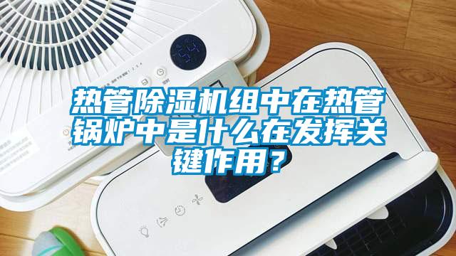 熱管除濕機組中在熱管鍋爐中是什么在發揮關鍵作用？