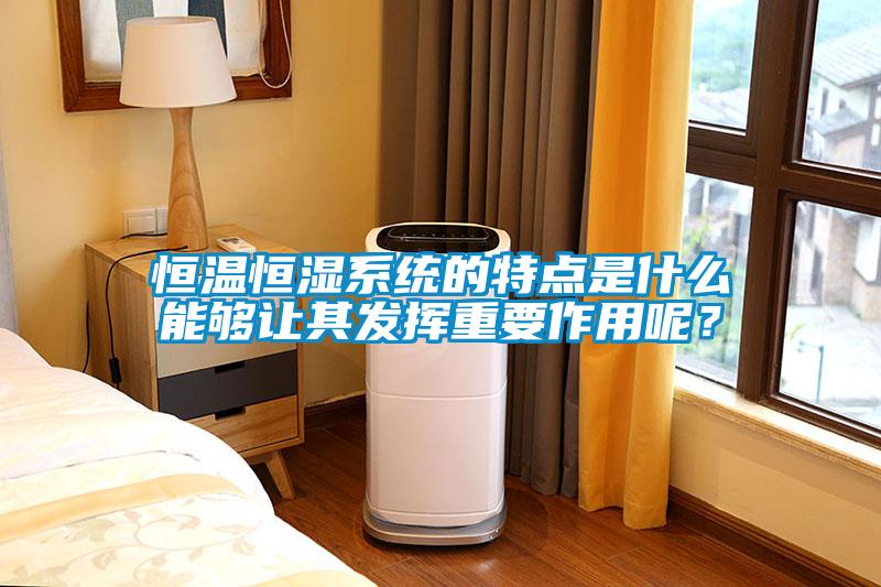 恒溫恒濕系統的特點是什么能夠讓其發揮重要作用呢？