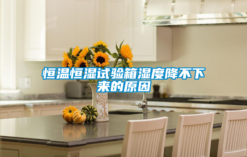 恒溫恒濕試驗(yàn)箱濕度降不下來的原因