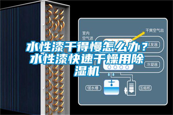 水性漆干得慢怎么辦?水性漆快速干燥用除濕機