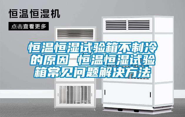 恒溫恒濕試驗(yàn)箱不制冷的原因 恒溫恒濕試驗(yàn)箱常見(jiàn)問(wèn)題解決方法
