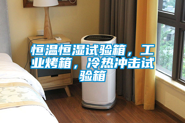 恒溫恒濕試驗箱，工業(yè)烤箱，冷熱沖擊試驗箱