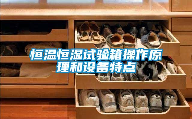 恒溫恒濕試驗箱操作原理和設(shè)備特點