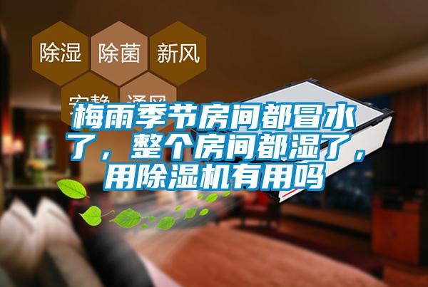 梅雨季節(jié)房間都冒水了，整個房間都濕了，用除濕機有用嗎