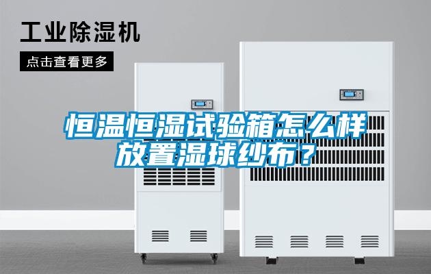 恒溫恒濕試驗箱怎么樣放置濕球紗布？