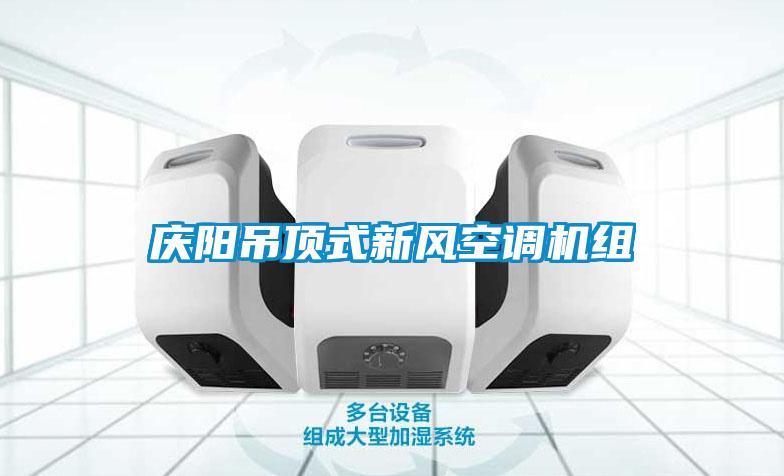 慶陽(yáng)吊頂式新風(fēng)空調(diào)機(jī)組