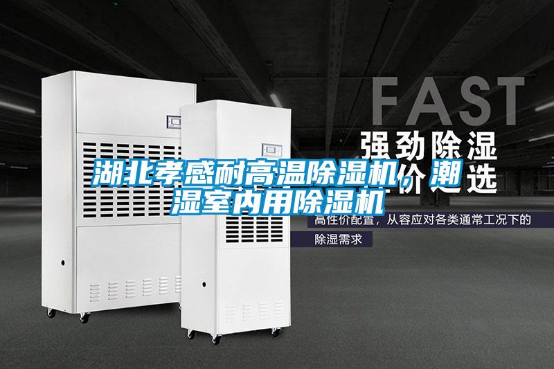 湖北孝感耐高溫除濕機(jī),潮濕室內(nèi)用除濕機(jī)
