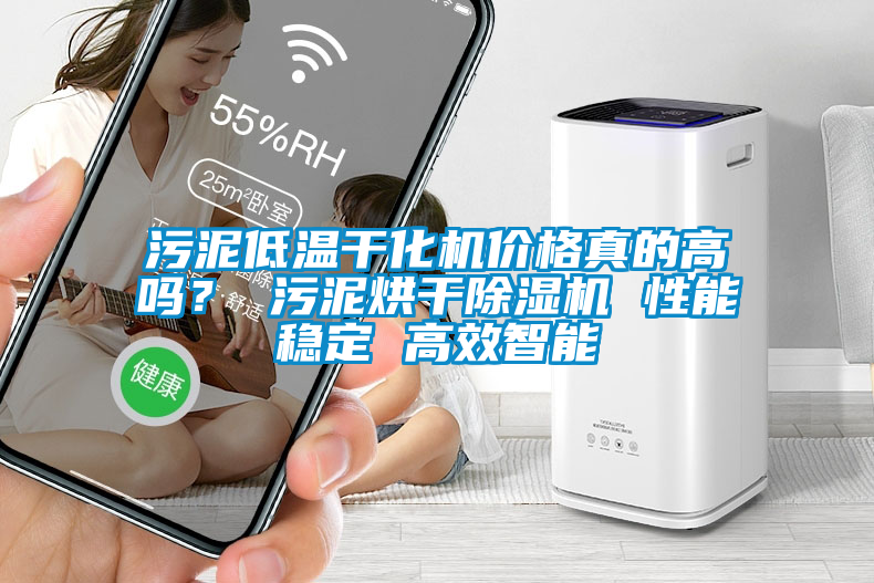污泥低溫干化機價格真的高嗎？ 污泥烘干除濕機 性能穩(wěn)定 高效智能